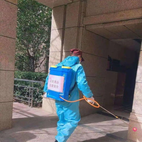 安全大過天 防寒防疫兩不誤 以“防疫健康包”為抓手，全力守護(hù)業(yè)主健康安全